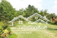 Bán Đất Nền Vĩnh Lộc H, 3,7 Tỷ, 80M2, Hàng Hiếm Tại Bình Chánh, Hồ Chí Minh