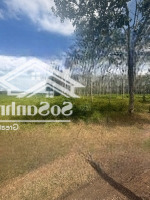 Bán Đất Tại Long Vĩnh, Châu Thành, Tây Ninh, Giá Tốt Đầu Tư, 545M2, Quy Hoạch Khu Dân Cư, Gần Tt