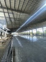 Cho Thuê Kho Xưởng 9.440M2; 18.800M2; 28.300M2; 30.000M2; 50.000M2 Trong Khu Công Nghiệp Phú Mỹ