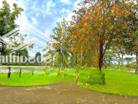Biệt Thự Song Lập Park Riverside View Sông Full Nội Thất 19 Tỷ - Liên Hệ: 0931.769.486 Xem Nhà