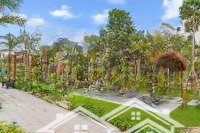 Bán Shophoues Đối Diện Công Viên - Đã Hoàn Thiện Có Dòng Tiền - Sổ Đỏ Cầm Tay