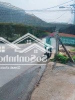 Chủ Cần Ra Lô Đất Ở Tương Bình Hiệp Tdm 214M2, Tc 60M2, Shr, Đường Nhựa Thông Thoáng