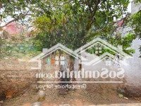 Bán Đất Tại Đường Du Nội, Xã Mai Lâm, Đông Anh, Hà Nội, 11,4 Tỷ, 120M2 Đẹp Xuất Sắc Chỉ Với