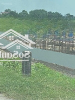 Bán Đất Chính Chủ Tại Khu Sinh Thái Cẩm Đình, Hiệp Thuận, Phúc Thọ, Hà Nội