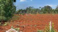 Dt: 206,8M2 (80M2 Thổ Cư) Giá Bán 445 Triệu Tại Quảng Thành, Châu Đức, Brvt