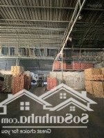 Bán Xưởng Bình Minh 1550M2 Có 300M2 Thổ Cư Chỉ 11 Tỷ