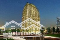 Cho Thuê Căn Hộ Officetel Tại Dự Án Golden King Số 15 Nguyễn Lương Bằng Phường Tân Phú Quận 7