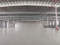 Cho Thuê Xưởng Sản Xuất Tại Kcn Nhơn Trạch, Đồng Nai 9000M2. Pháp Lý Đầy Đủ Rõ Ràng