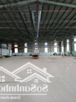 Cho Thuê Kho Xưởng Mỹ Hạnh Bắc, Đức Hòa, Long An, Diện Tích : 2.000M2, Giá Thuê: 100 Triệu/Tháng