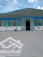 Cho Thuê Kho Xưởng Mỹ Hạnh Bắc, Đức Hòa, Long An, Diện Tích : 2.000M2, Giá Thuê: 100 Triệu/Tháng