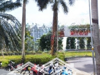 Bán Đất 120M2 Tại Kdc 13B Conic, Phong Phú, Bình Chánh, Giá Cực Chất 66 Triệu/M2