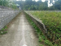 Chính Chủ Gửi Em Bán Lô Đất Gần Ngay Trung Tâm Chợ Quán Trắng Mà Giá Chỉ Hơn 2 Tr/M2