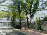 Quận 7 ,Diện Tích235M2 Đất , Cạnh Đh Tôn Đức Thắng Giá Bán 21Tyxz