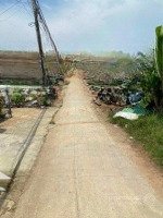 Hàng Hiếm Tại Long Phước, 20,5 Tỷ, 234,17 M2, Đất Thổ Cư Chuẩn Pháp Lý