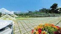 Chị Chủ Gửi Bán Căn Nhà Vườn Full Nội Thất Đẹp Lắm Anh Chị Ơi