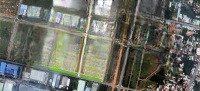 Nhận Ưu Tiên Vị Trí Đẹp - Suất Ngoại Giao Dự Án K Home New City - Hotline 0938373495