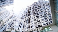 Chỉ 900 Triệu Vốn Ban Đầu Sở Hữu Ngay Căn 2 Phòng Ngủtecco Elite, Cho Thuê 8,3 Triệu/Tháng, Cam Kết Mua Lại