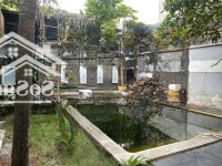 Biệt Thự Vườn Có Hồ Bơi, 350M2, Giá Bán 30 Tỷ, Phước Bình Thủ Đức