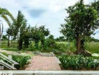 Bán Đất Nhà Phố Kdc Nhơn Đức- Vạn Phát Hưng,Nhà Bè,Giá Tốt Đầu Tư Chỉ 3,8 Tỷ