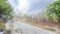 Bán Đấtmặt Tiềnkinh Doanh Đươc, Làm Kho, Xưởng.diện Tích236M2 (7X33M) P. Bình Chuẩn Tp. Thuận An