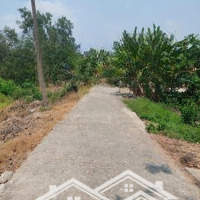 Bán Gấp Nhà Vườn Đường Ô Tô Tới Nhà Xã Bình Tịnh Huyện Tân Trụ. Long An
