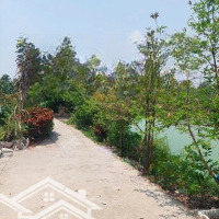 Bán Gấp Nhà Vườn Đường Ô Tô Tới Nhà Xã Bình Tịnh Huyện Tân Trụ. Long An
