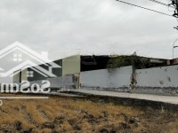 Nhà Xưởng 3600M2 Full Đất Thổ Cư Giá Rẻ