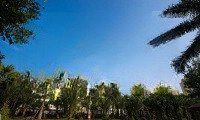 Bán Căn 83M2 Nội Thất Cơ Bản View Vườn Tùng Giá Bán 3Ty550 Bao Phí Sang Tên Liên Hệ: 0868683386