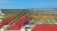 Bán Nhanh Lô Đất Dự Án Nam An Cách Ql13 300M. 100M2 Giá Bán 1,4Tỷ Shr, Nằm Ngay Kcn Bàu Bàng