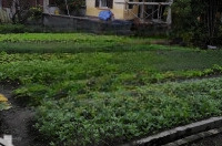 Bán Đất Mặt Đường, Số 89, Đường Phú Xá, Đông Hải 1, Hải An, Hải Phòng,Diện Tích379M2, Giá Bán 32 Triệu/M2