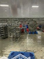 Chuyển Nhượng Nhà Máy Chế Biến Thủy Sản 1.5 Ha Tại Kcn Núi Thành, Tỉnh Quảng Nam