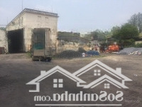 Cho Thuê 6000M2 - Đất Sản Xuất Tại Tp Bắc Ninh
