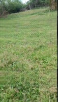 Em Có 1 Lô Đất Hơn 300.000M2 Giá Bán 16 Tỷ Thương Lượng, Gần Nước, Điện, Tiện Ích. Thích Hợp Làm Tt