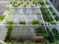 Bán Nhà Mặt Tiền Nguyễn Thị Nhỏ 4X16M Lửng 3T Nhà Đẹp Giá Bán 16 Tỷ! Sẵn Dòng Tiền 360 Triệu/ Năm!