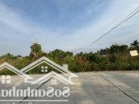 Bán Đất Tại Đường An Khương Thới, Xã Thuận Mỹ, Châu Thành, Long An, 960 Triệu, 200M2