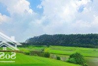 Chính Chủ Bán Nền Biệt Thự Sân Golf Long Thành Cực Đẹp, Giá Chỉ 15 Triệu/M2 Bao Thuế Phí, Có Sổ Sẵn
