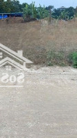 Bán Đất Tại Đường 420, Thạch Thất, Hà Nội, 131,2M2 Bao Đẹp Uy Tín