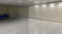 Cho Thuê Nhà Mặt Đường Phố Đi Bộ Thế Lữ, Mặt Tiền 8.5M,Diện Tích101M2, Nhà 2 Tầng Thông Sàn Có Thang Máy
