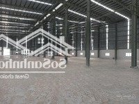 Cho Thuê Xưởng 5000M2 - 35.000M2 Gần Kcn Đại Đăng, Kcn Sóng Thần 3, Thủ Dầu Một, Bình Dương