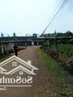 Chủ Cần Bán Lô Đất Đẹp Ở Lộc Đức