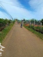 Chủ Cần Bán Lô Đất Đẹp Ở Lộc Đức