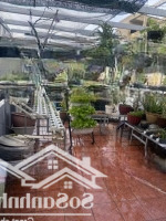 Bán Nhà 2Mặt Tiềnhẻm 8M Lạc Long Quân - Chợ Bình Thới Dt: 8X17M 2 Lầu St, Giá Bán 15.5 Tỷ