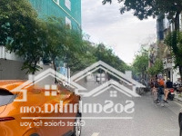 Siêu Hiếm. Bán Nhà Mặt Phố Nguyễn Thái Học, Ba Đình 450M2Mặt Tiền13.5M Một Sổ 1 Chủ Sẵn Giao Dịch.