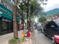 Siêu Hiếm. Bán Nhà Mặt Phố Nguyễn Thái Học, Ba Đình 450M2Mặt Tiền13.5M Một Sổ 1 Chủ Sẵn Giao Dịch.