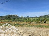 Chủ Cần Tiền Bán Giá Đầu Tư 1Ha Tại Xã Lộc Đức -Bảo Lâm