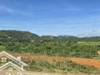 Chủ Cần Tiền Bán Giá Đầu Tư 1Ha Tại Xã Lộc Đức -Bảo Lâm
