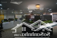 Cho Thuê Văn Phòng, Sàn Tm Tòa Nhà Mandarin Garden 2 Hoàng Mai Hà Nội Giá Tốt Nhất