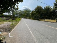 Cần Bán Nhanh Lô Đất 100M2 Mặt Tiền Đ. Thái Thị Giữ, Bà Điểm, Hóc Môn. Giá Bán 1Tỷ 680 Triệu. Có Sẳn Shr