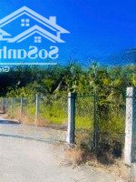 Cần Bán Gấp Đất Chính Chủ - Bến Tre