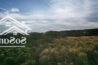 Bán Đất Tại Ninh Gia, Đức Trọng, Lâm Đồng, 2,3 Tỷ, 1000M2